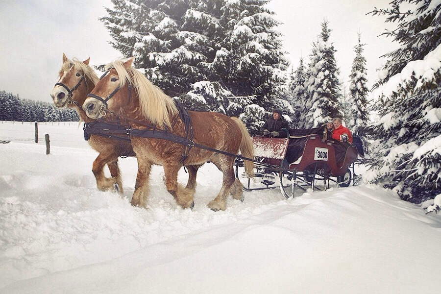 DKV Iin Winterberg